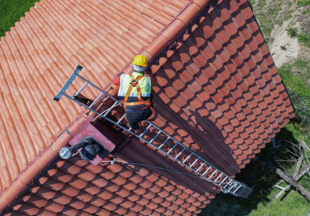 Best Commercial Roofing Services  in Las Animas, CO