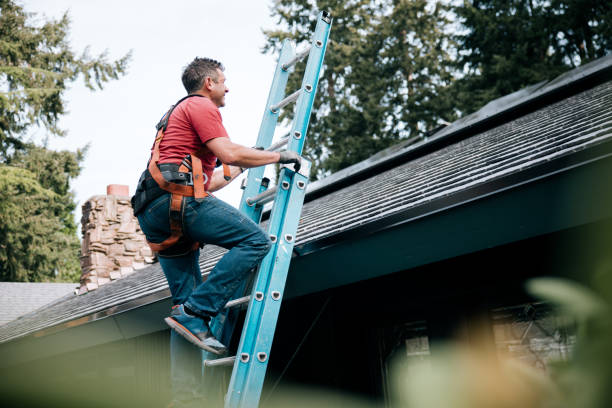 Best Roof Moss and Algae Removal  in Las Animas, CO